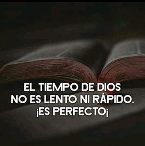 Meet your Posher, Gerald